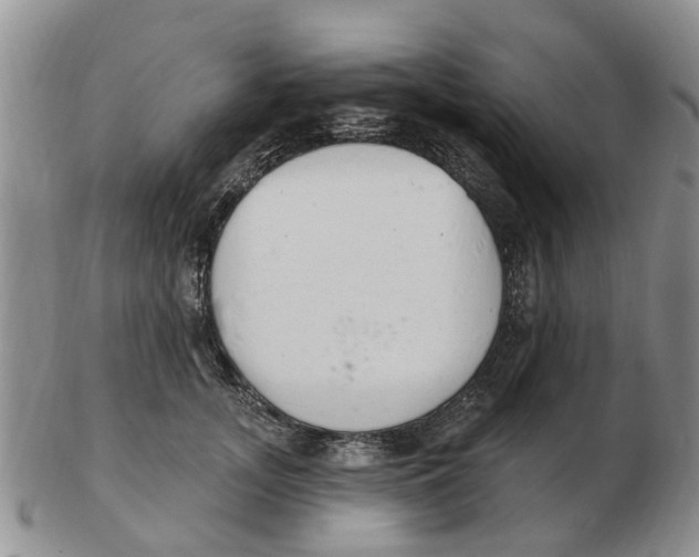 X0000103170755200809121900