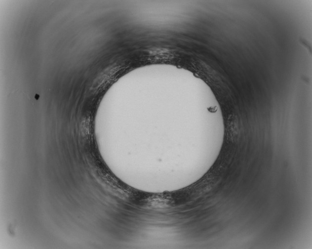 X0000103170756200809121900