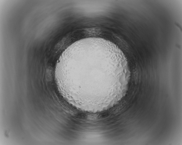 X0000103170757200809121900