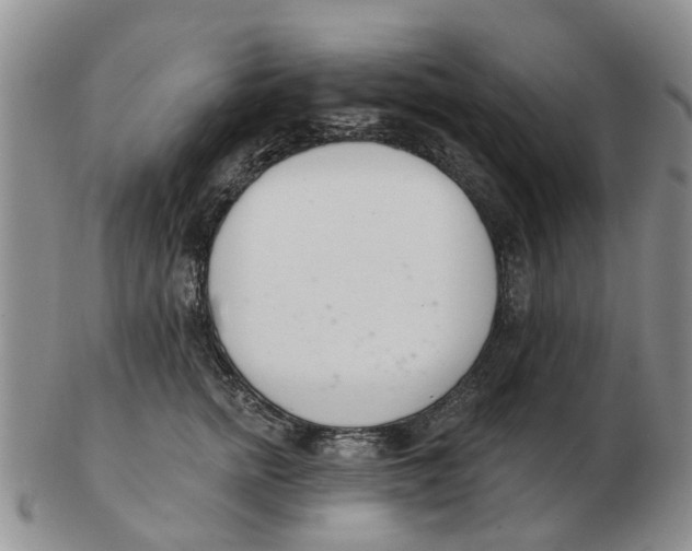 X0000103170758200809121900