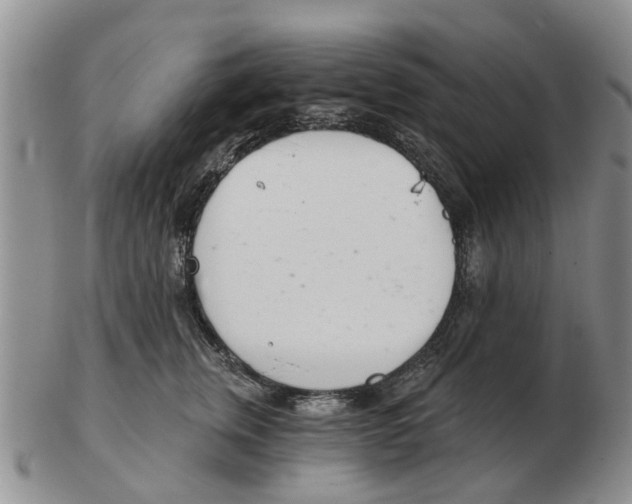 X0000103170759200809121900