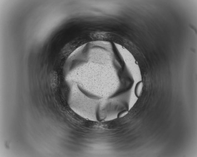 X0000103170760200809121900