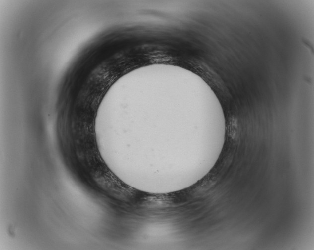 X0000103170763200809121901