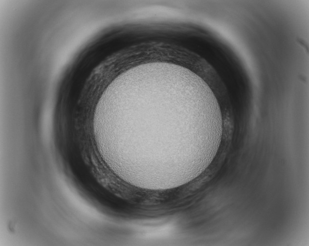 X0000103170765200809121901