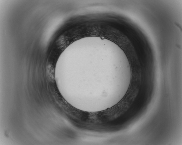 X0000103170766200809121901