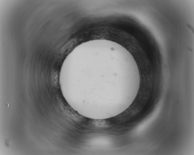 X0000103170767200809121901