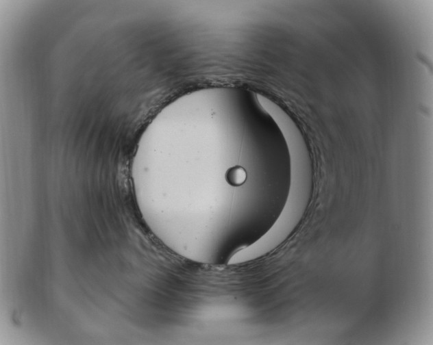 X0000103170768200809121901