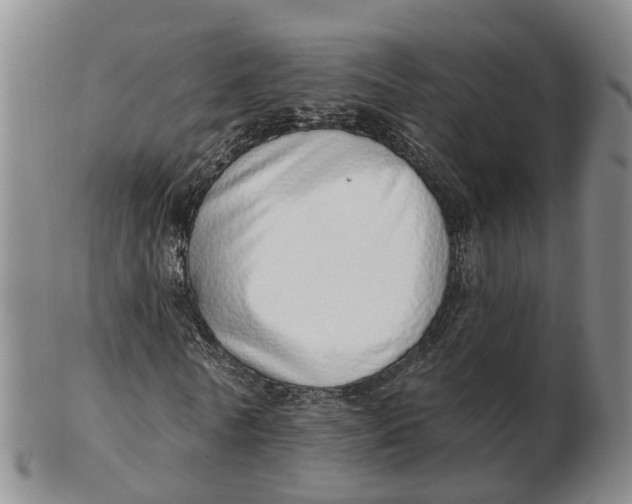 X0000103170770200809121900