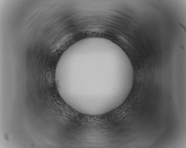 X0000103170774200809121900