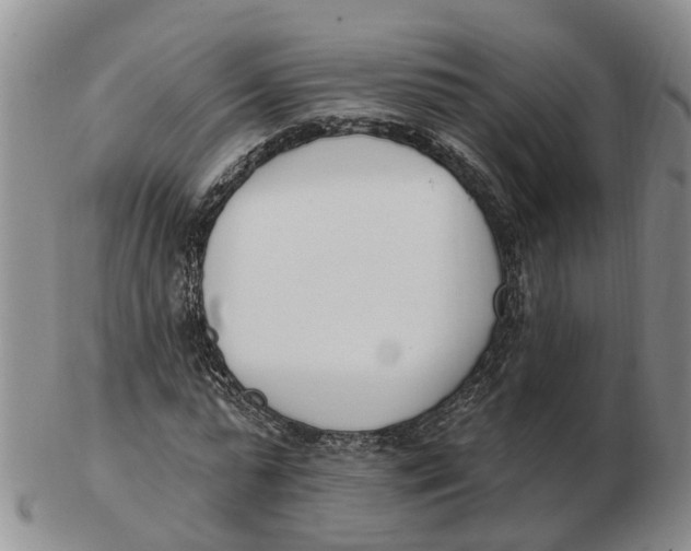 X0000103170775200809121900