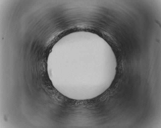 X0000103170776200809121900