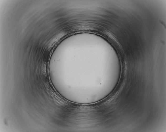 X0000103170777200809121900