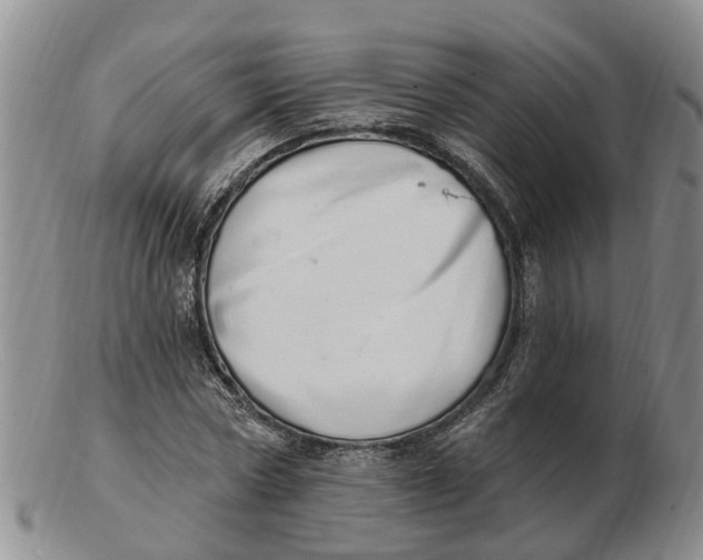 X0000103170778200809121900