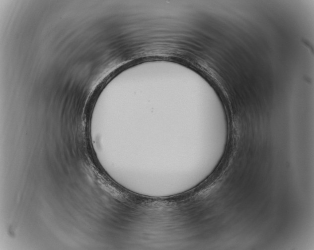 X0000103170779200809121900