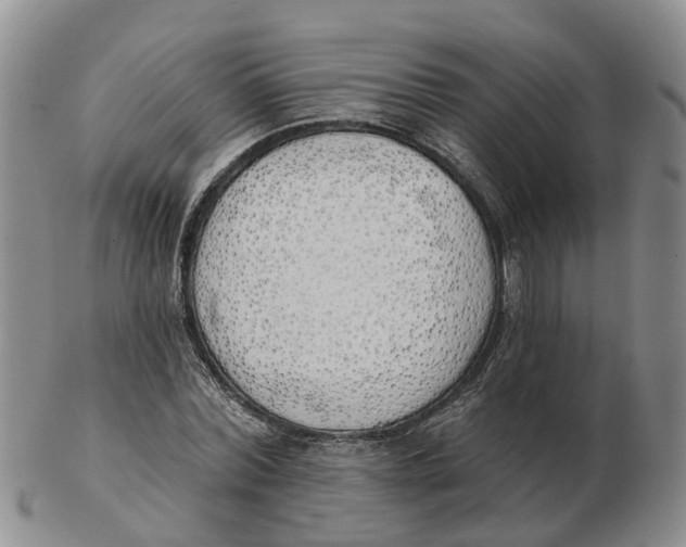 X0000103170780200809121900