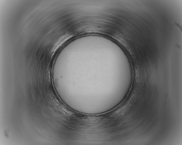 X0000103170782200809121900