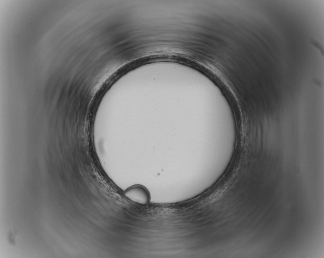 X0000103170783200809121900