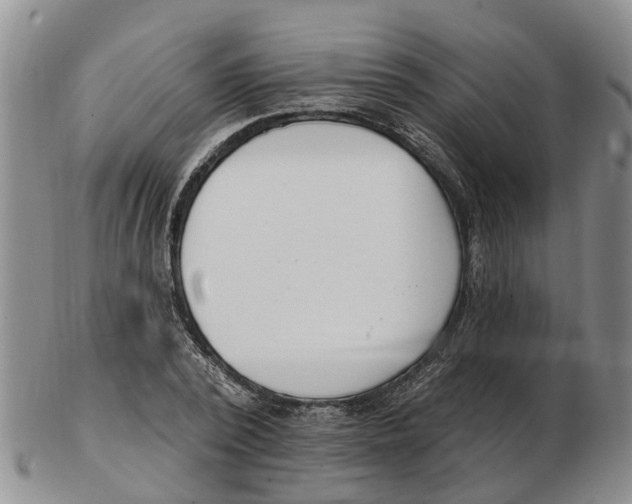 X0000103170784200809121900