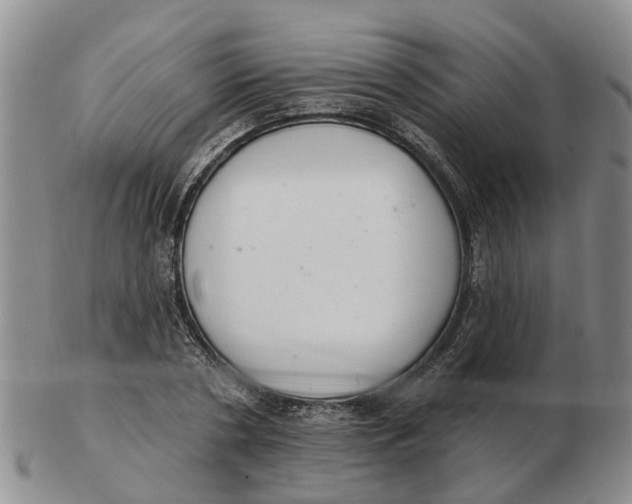 X0000103170786200809121900