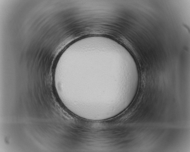 X0000103170787200809121900