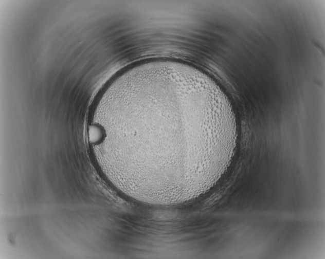 X0000103170788200809121900