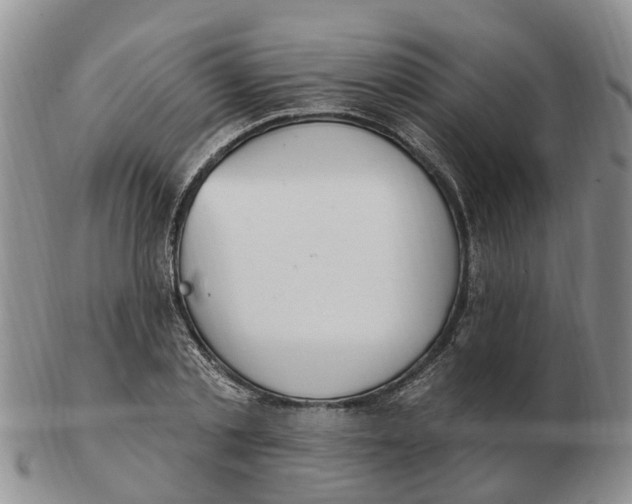 X0000103170789200809121900