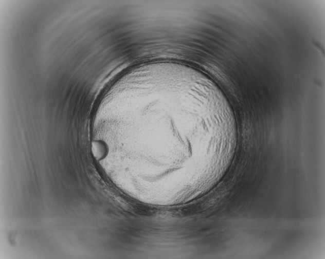 X0000103170790200809121900