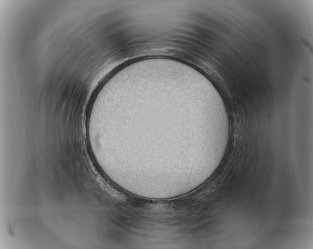 X0000103170792200809121900