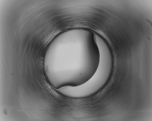 X0000103170793200809121900