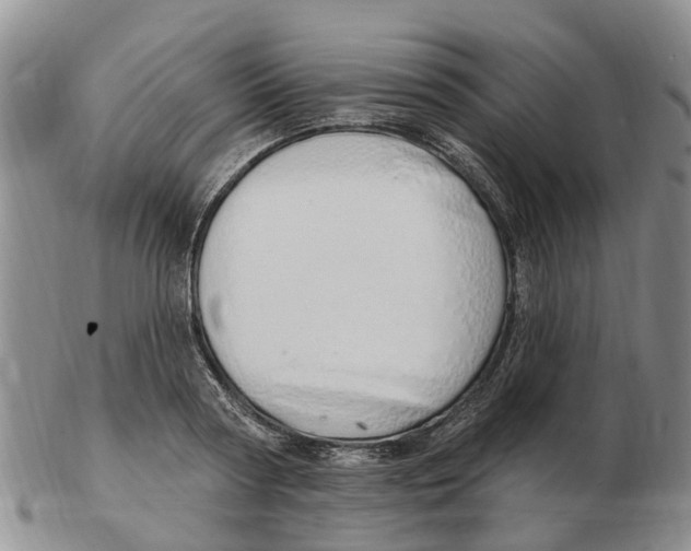 X0000103170794200809121900