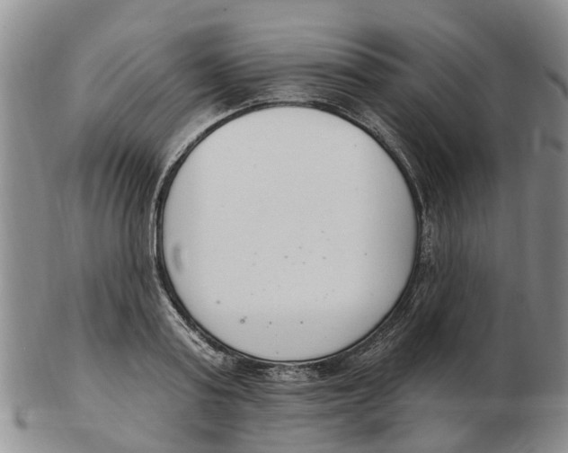 X0000103170795200809121900