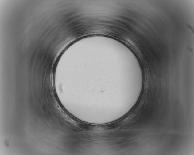 X0000103170796200809121900