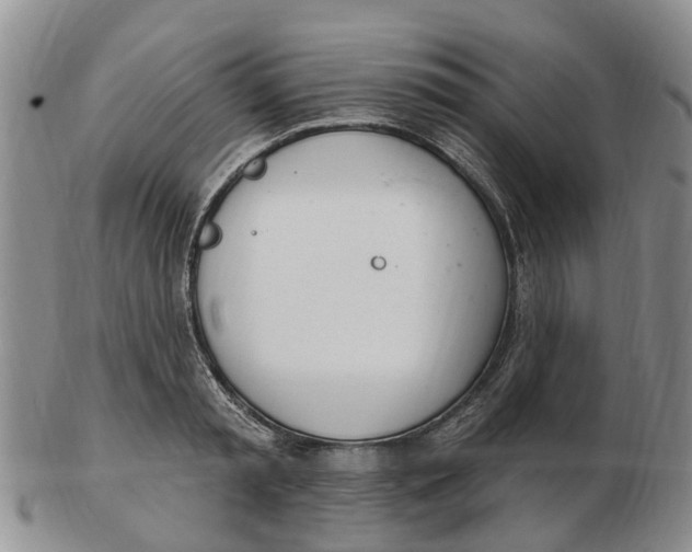 X0000103170797200809121900