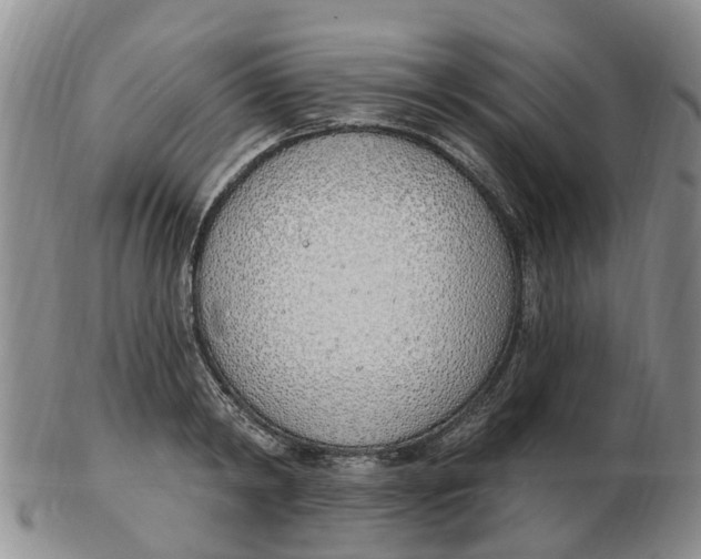 X0000103170798200809121900