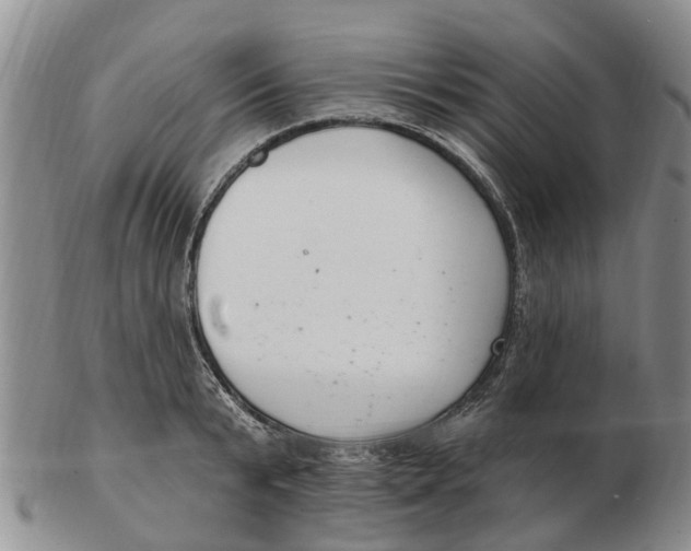 X0000103170799200809121900