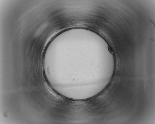 X0000103170800200809121859