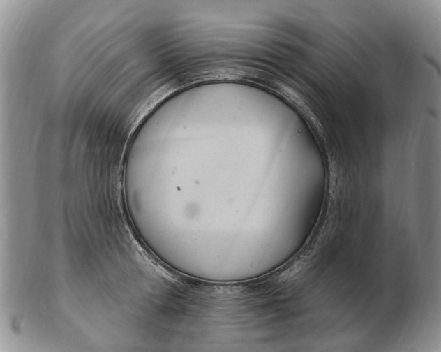 X0000103170802200809121859