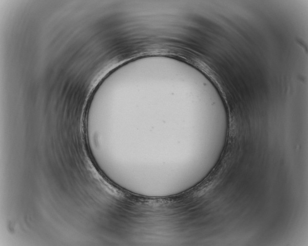 X0000103170803200809121859