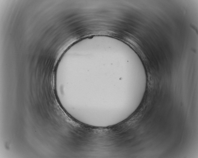 X0000103170804200809121859