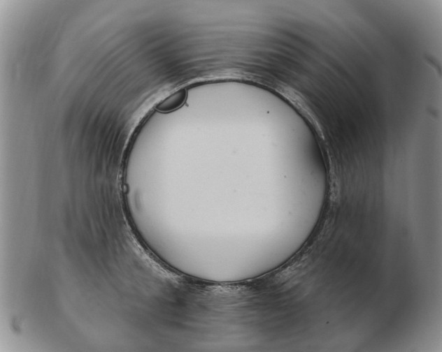 X0000103170805200809121859