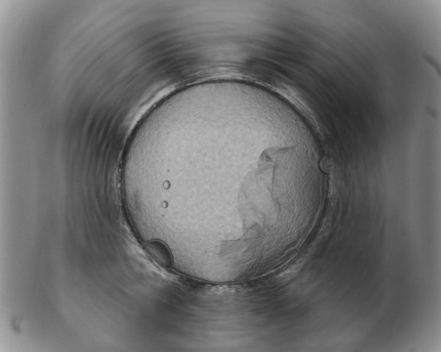 X0000103170806200809121859