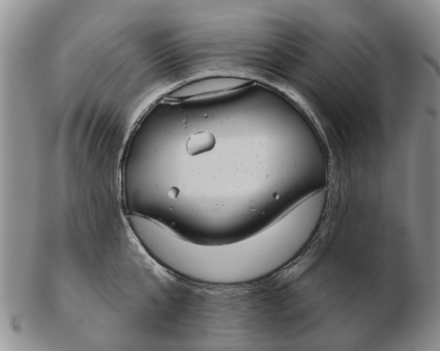 X0000103170807200809121859