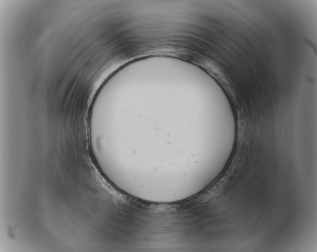 X0000103170808200809121859