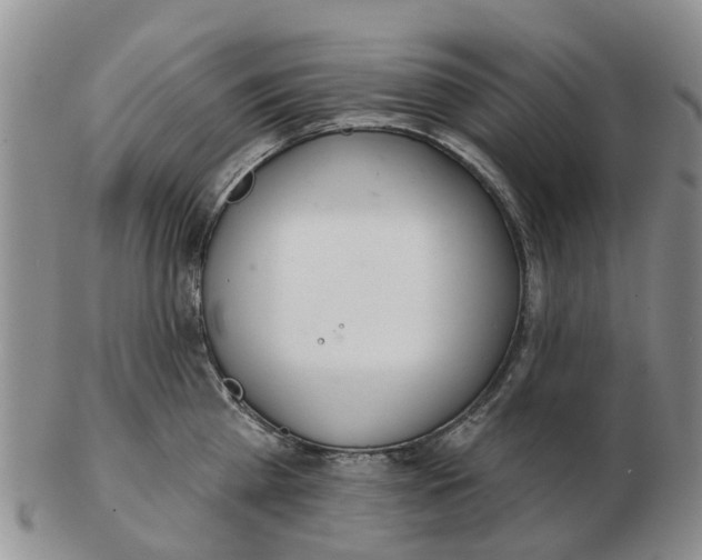 X0000103170809200809121859