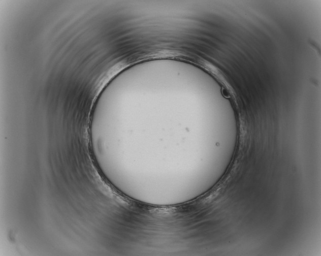 X0000103170810200809121859