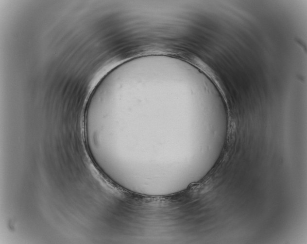 X0000103170811200809121859