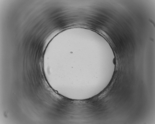 X0000103170812200809121859