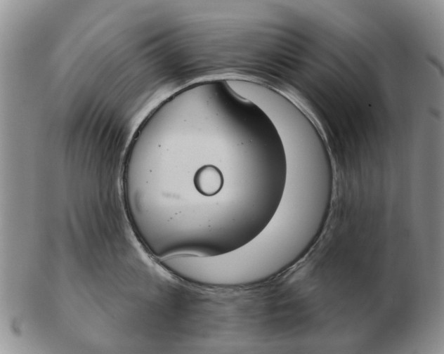 X0000103170813200809121859