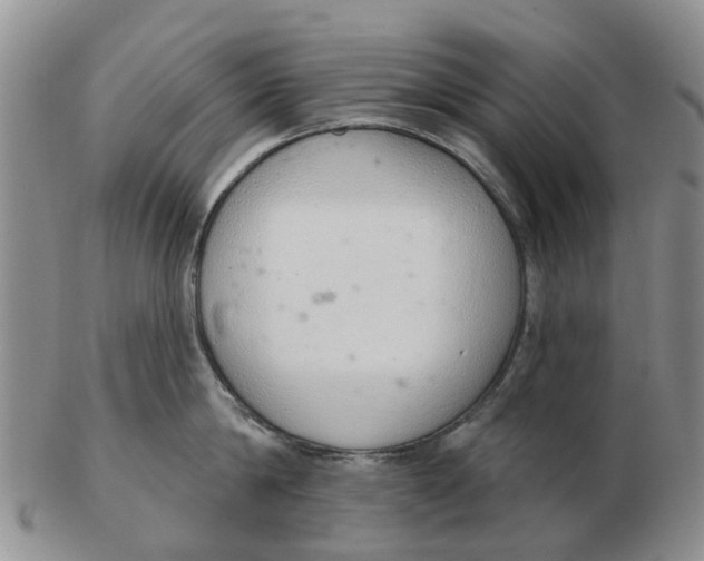 X0000103170814200809121859