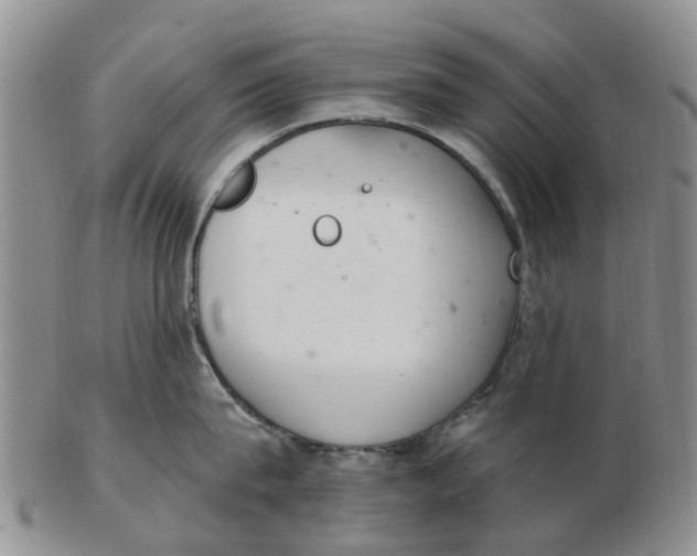 X0000103170815200809121859